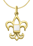 Picture of Fleur-de-lis